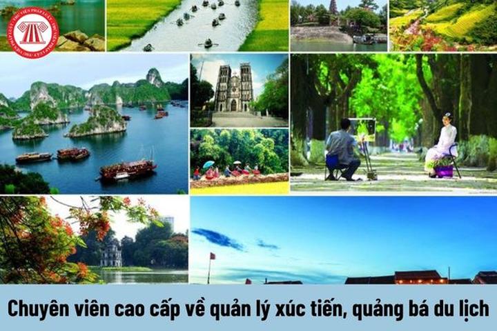 Hotspot Matrix: Đòn bẩy tăng trưởng cho Startup của bạn