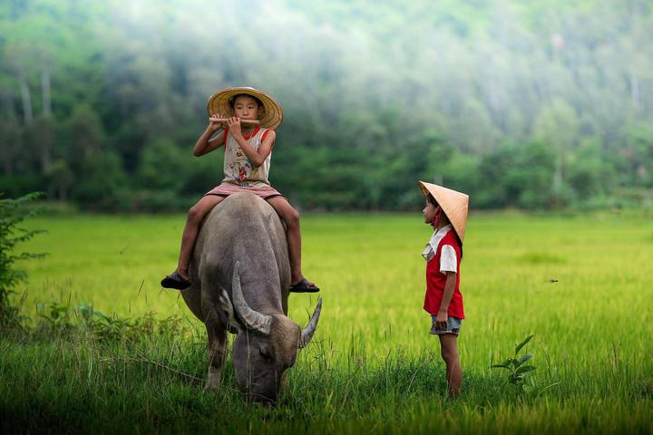 Chuyên gia Hotspot Matrix: Tại sao xu hướng