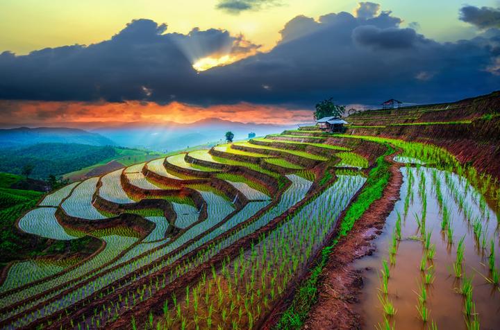Từ 2 