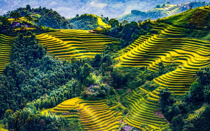 Hotspot Matrix:  Cánh cửa vàng cho Freelancer trong kỷ nguyên Video Ngắn
